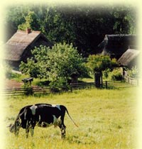 Rural Lithuania